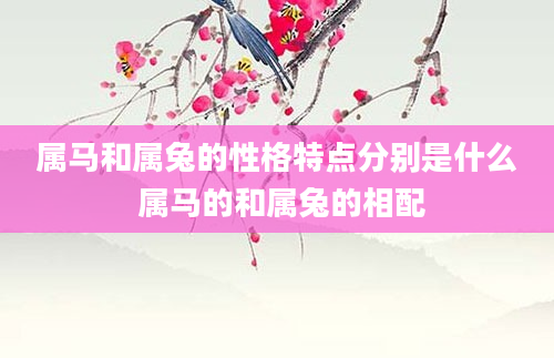 属马和属兔的性格特点分别是什么 属马的和属兔的相配