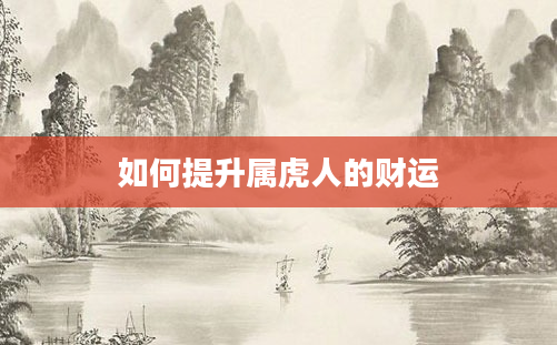 如何提升属虎人的财运