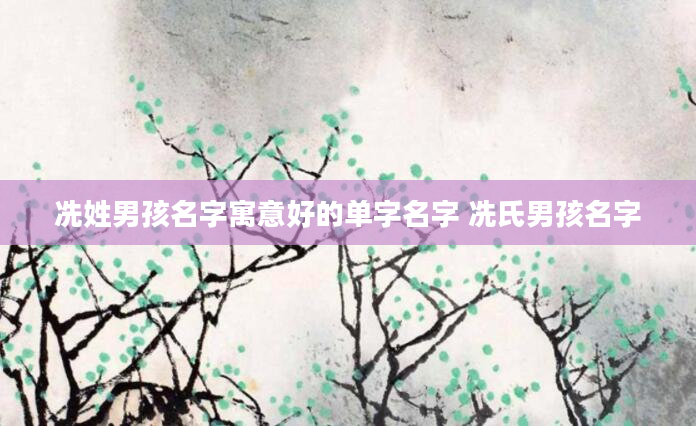冼姓男孩名字寓意好的单字名字 冼氏男孩名字