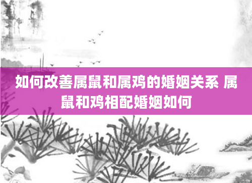 如何改善属鼠和属鸡的婚姻关系 属鼠和鸡相配婚姻如何