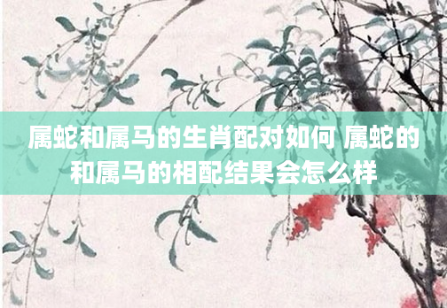 属蛇和属马的生肖配对如何 属蛇的和属马的相配结果会怎么样