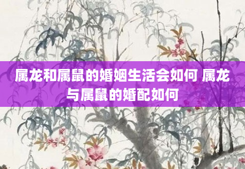 属龙和属鼠的婚姻生活会如何 属龙与属鼠的婚配如何