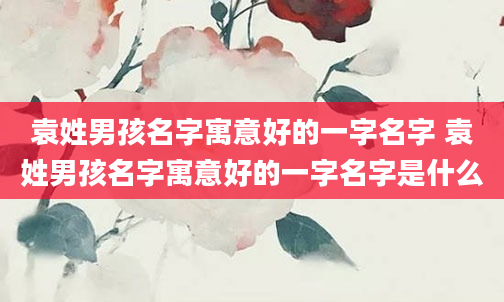 袁姓男孩名字寓意好的一字名字 袁姓男孩名字寓意好的一字名字是什么