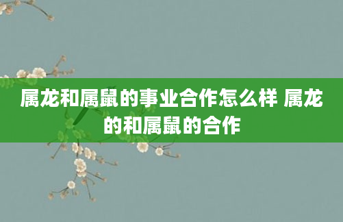 属龙和属鼠的事业合作怎么样 属龙的和属鼠的合作
