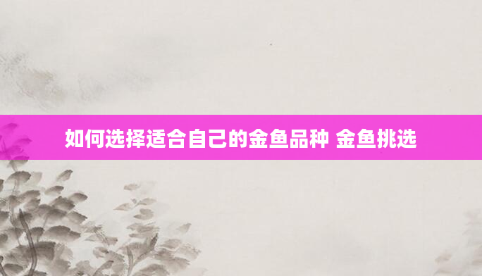 如何选择适合自己的金鱼品种 金鱼挑选