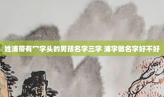 姓浦带有冖字头的男孩名字三字 浦字做名字好不好