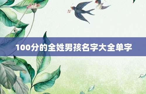 100分的全姓男孩名字大全单字