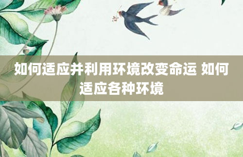 如何适应并利用环境改变命运 如何适应各种环境