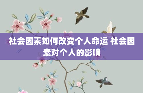 社会因素如何改变个人命运 社会因素对个人的影响