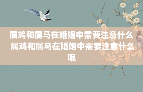 属鸡和属马在婚姻中需要注意什么 属鸡和属马在婚姻中需要注意什么呢