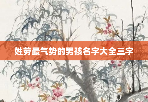 姓劳最气势的男孩名字大全三字