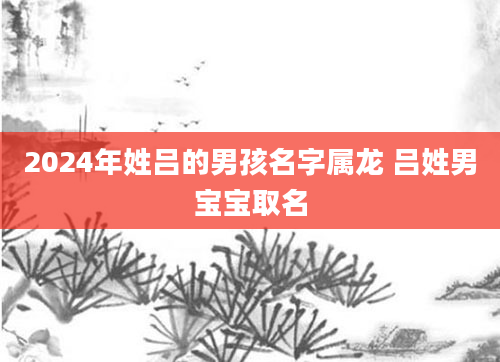 2024年姓吕的男孩名字属龙 吕姓男宝宝取名