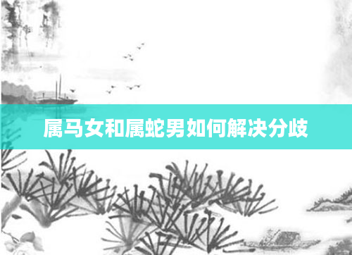 属马女和属蛇男如何解决分歧