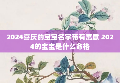 2024喜庆的宝宝名字带有寓意 2024的宝宝是什么命格