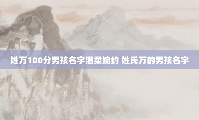姓万100分男孩名字温柔婉约 姓氏万的男孩名字