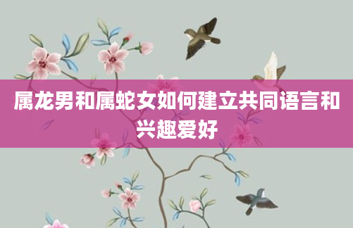 属龙男和属蛇女如何建立共同语言和兴趣爱好