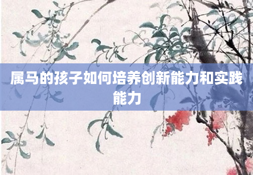 属马的孩子如何培养创新能力和实践能力