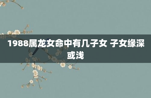 1988属龙女命中有几子女 子女缘深或浅