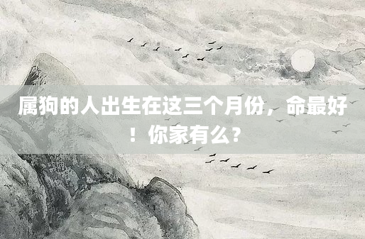 属狗的人出生在这三个月份，命最好！你家有么？