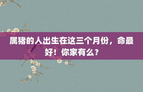 属猪的人出生在这三个月份，命最好！你家有么？