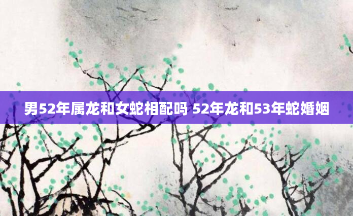 男52年属龙和女蛇相配吗 52年龙和53年蛇婚姻