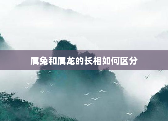 属兔和属龙的长相如何区分