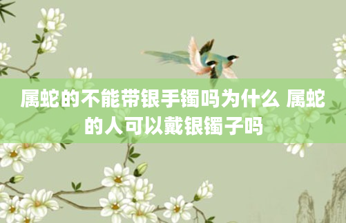 属蛇的不能带银手镯吗为什么 属蛇的人可以戴银镯子吗