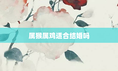 属猴属鸡适合结婚吗