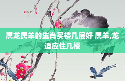 属龙属羊的生肖买楼几层好 属羊,龙适应住几楼