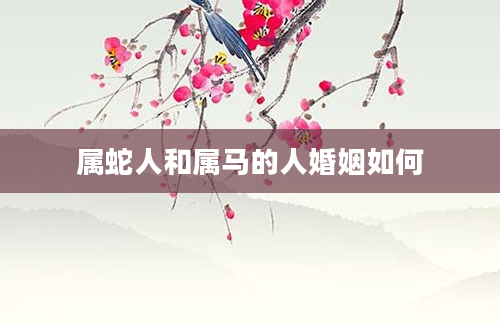 属蛇人和属马的人婚姻如何