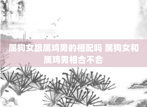 属狗女跟属鸡男的相配吗 属狗女和属鸡男相合不合