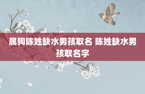 属狗陈姓缺水男孩取名 陈姓缺水男孩取名字