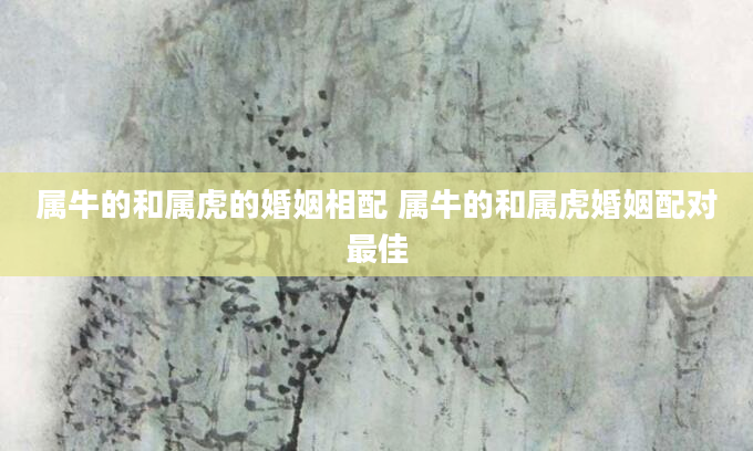 属牛的和属虎的婚姻相配 属牛的和属虎婚姻配对最佳
