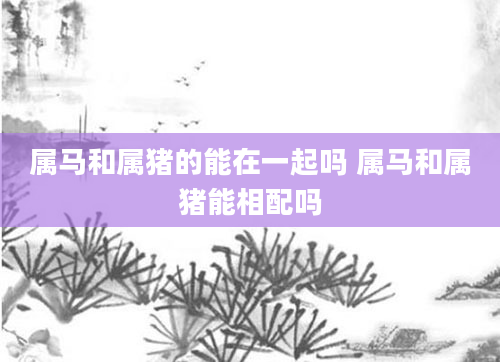 属马和属猪的能在一起吗 属马和属猪能相配吗