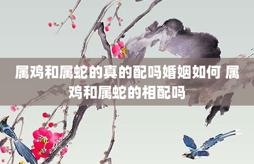 属鸡和属蛇的真的配吗婚姻如何 属鸡和属蛇的相配吗