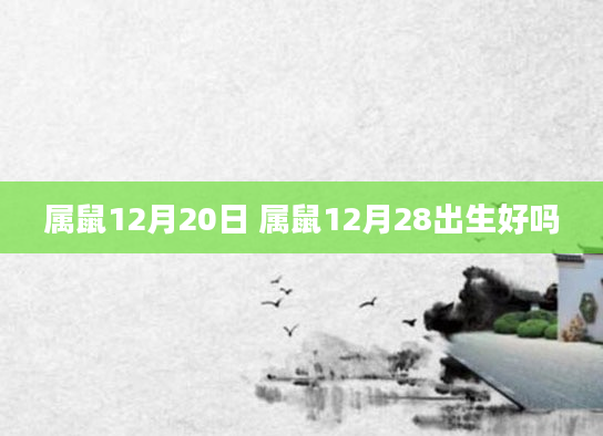 属鼠12月20日 属鼠12月28出生好吗