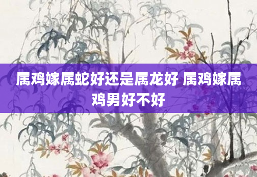 属鸡嫁属蛇好还是属龙好 属鸡嫁属鸡男好不好