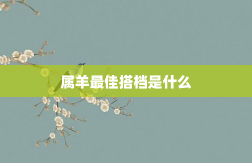 属羊最佳搭档是什么