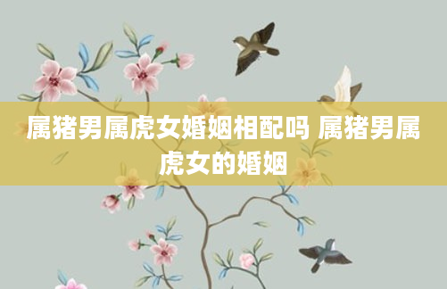 属猪男属虎女婚姻相配吗 属猪男属虎女的婚姻