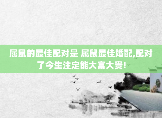 属鼠的最佳配对是 属鼠最佳婚配,配对了今生注定能大富大贵!