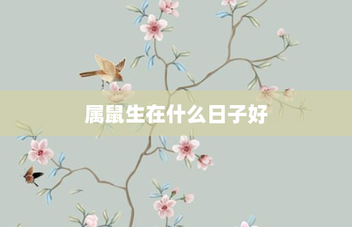 属鼠生在什么日子好