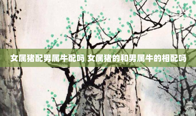 女属猪配男属牛配吗 女属猪的和男属牛的相配吗