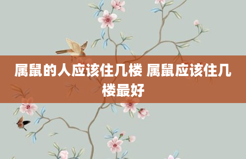属鼠的人应该住几楼 属鼠应该住几楼最好