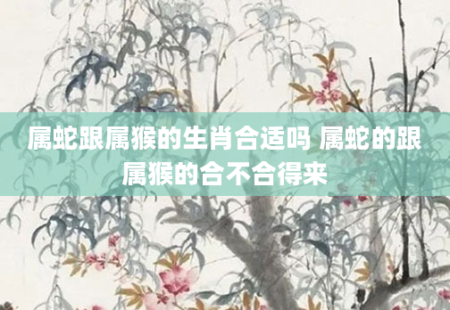 属蛇跟属猴的生肖合适吗 属蛇的跟属猴的合不合得来