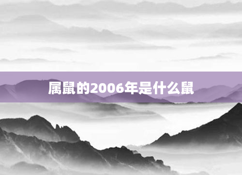 属鼠的2006年是什么鼠