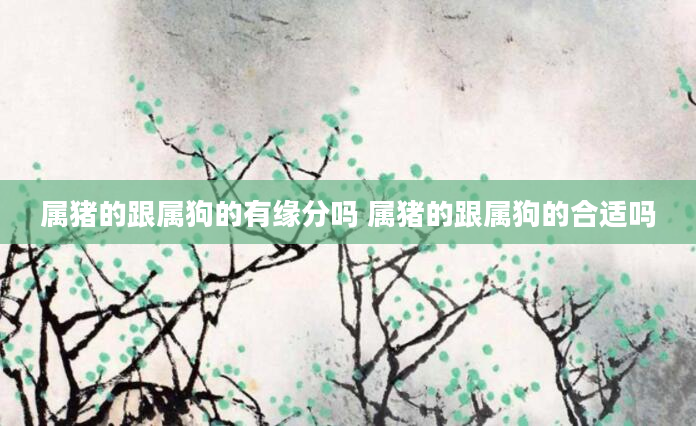 属猪的跟属狗的有缘分吗 属猪的跟属狗的合适吗