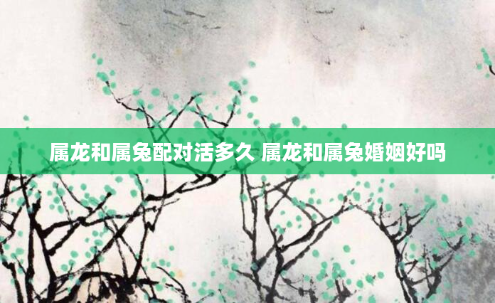 属龙和属兔配对活多久 属龙和属兔婚姻好吗