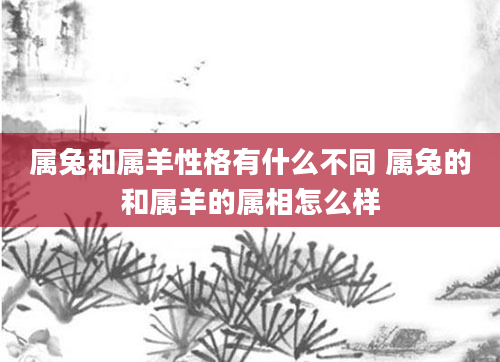 属兔和属羊性格有什么不同 属兔的和属羊的属相怎么样