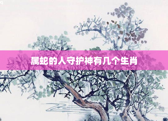 属蛇的人守护神有几个生肖