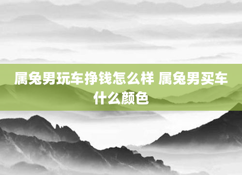属兔男玩车挣钱怎么样 属兔男买车什么颜色